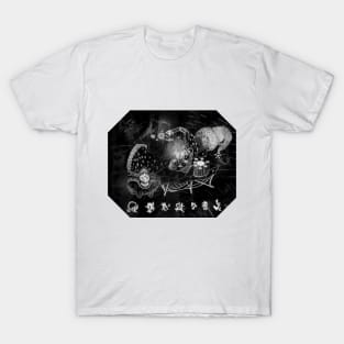 sunless.herald (a fan art) T-Shirt